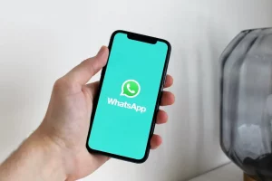 perbedaan whatsapp bisnis dan biasa