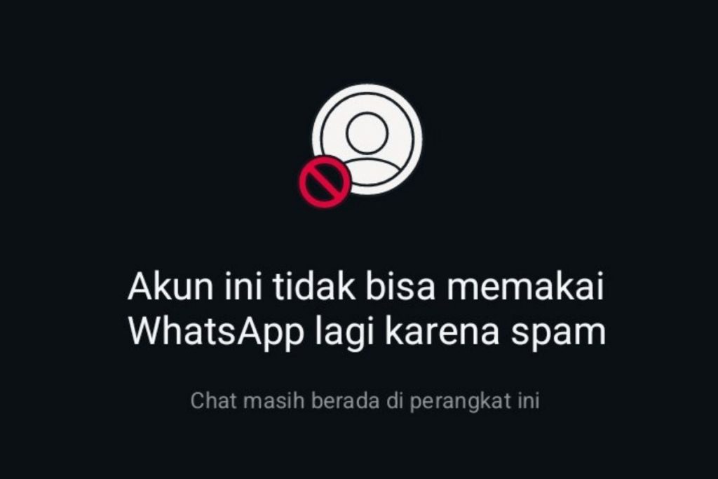 featured image cara membuka whatsapp yang kena spam