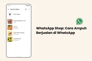 1 - featured image whatsapp shop