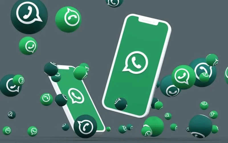 kelebihan dan kekurangan whatsapp multi users