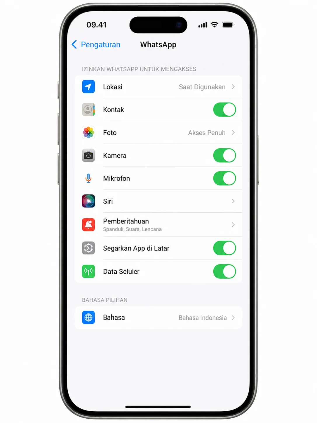 Cara cek izin foto dan kamera WhatsApp di iPhone