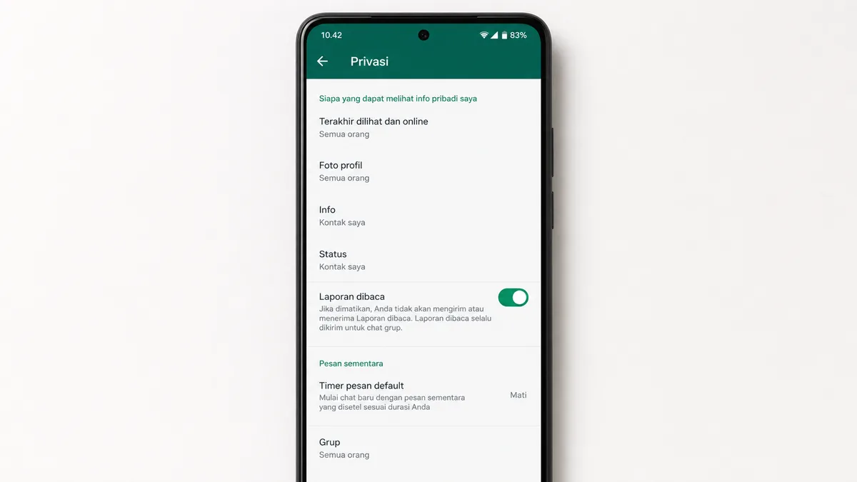 Laporan dibaca WhatsApp aktif di pengaturan privasi