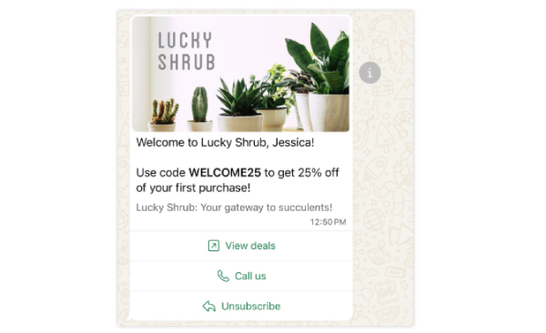 Contoh custom template di WhatsApp Business Platform
