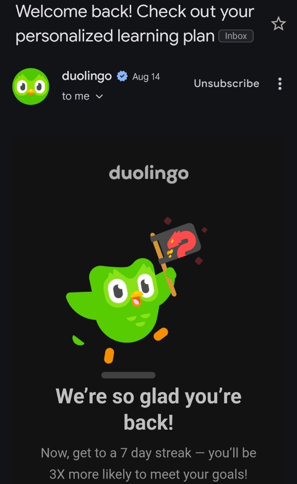 Contoh email welcome back dari Duolingo