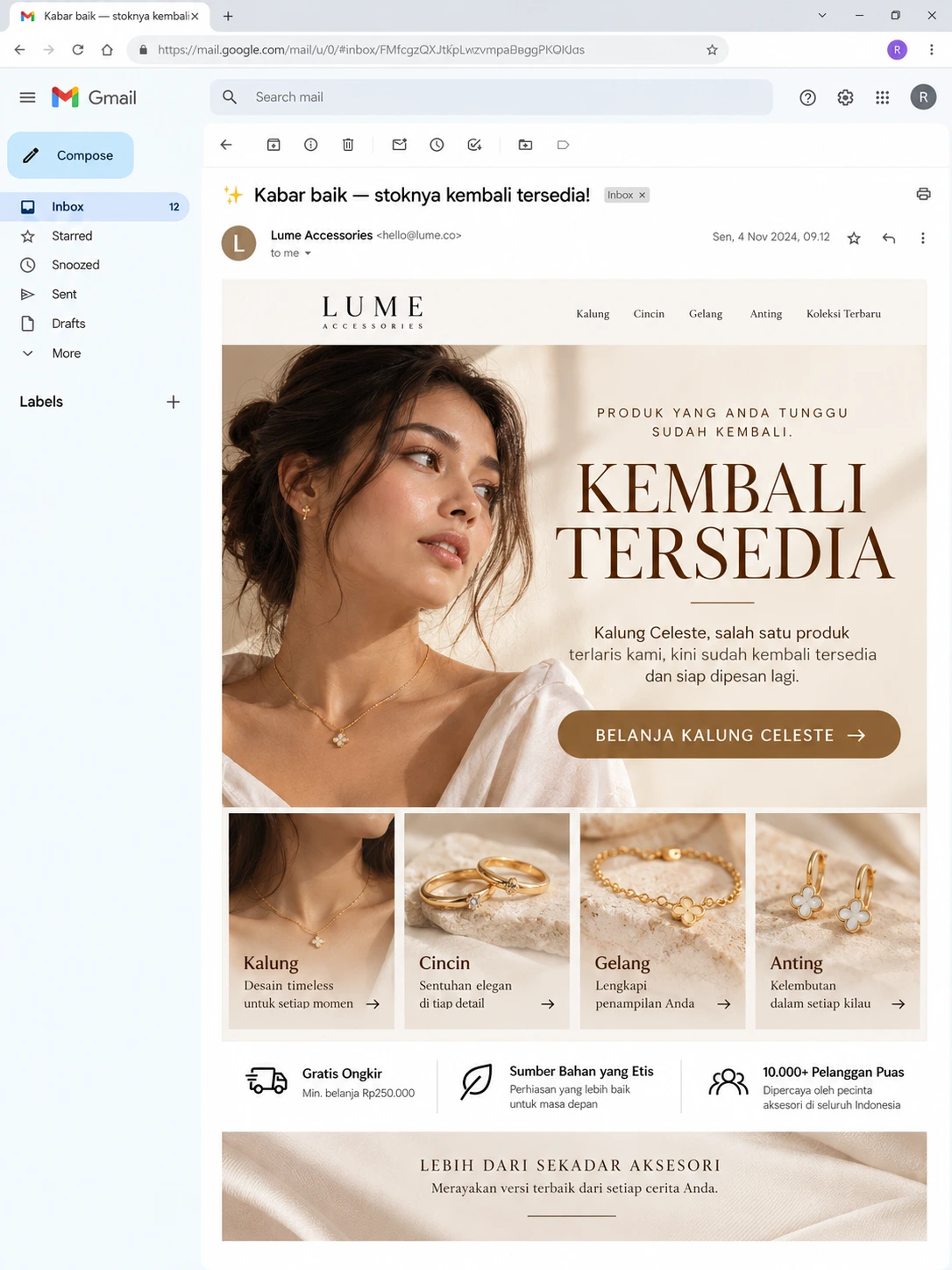 screenshot email blast restock produk yang kembali tersedia